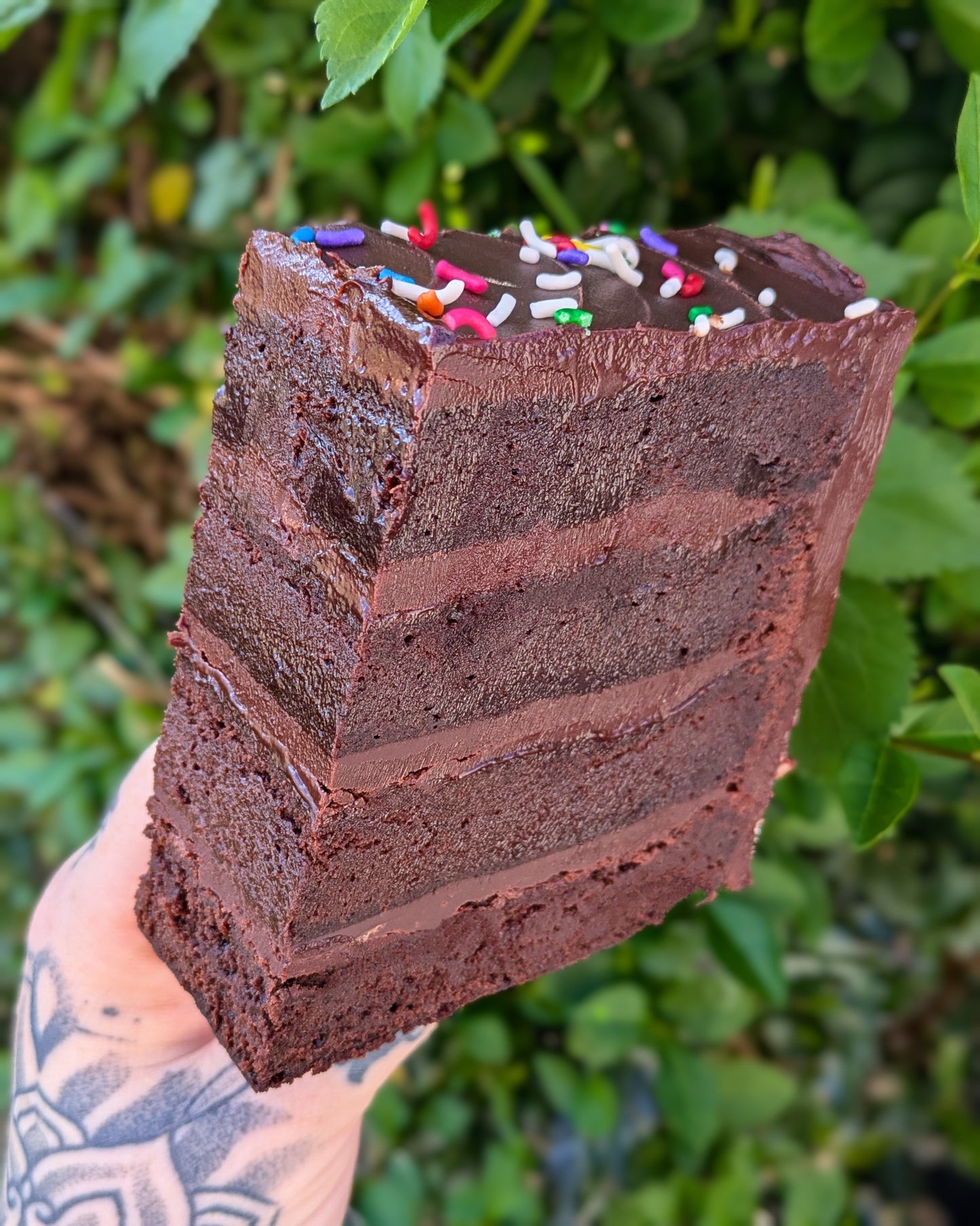 (NEWBIE👀) FUNFETTI BROWNIE CAKE